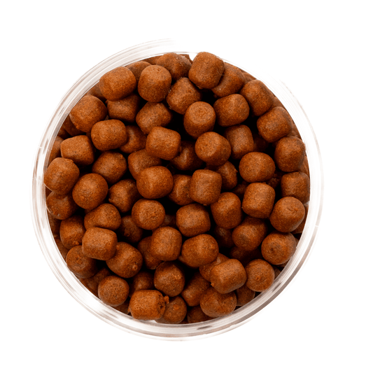 WAFTERS RMFBAITS CHOCO-BOOM 6MM